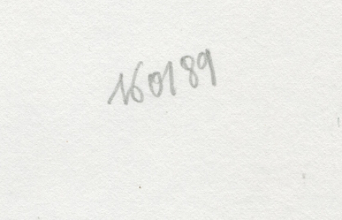 Tekening gemengde techniek,  naakte spiegelende dame 16 01 1989