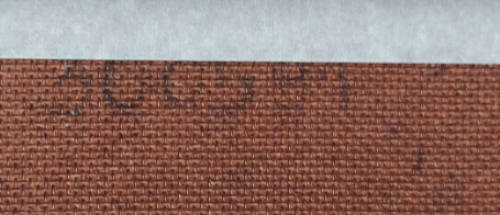 Het moeras bij een boomwortel 30 05 91