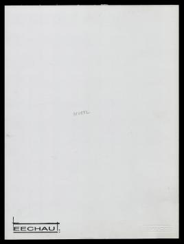De Belgische kunstenaar Eugène Eechaut
