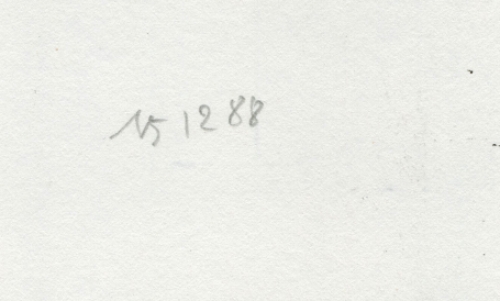 Naakt geschaduwde dame 14 12 88