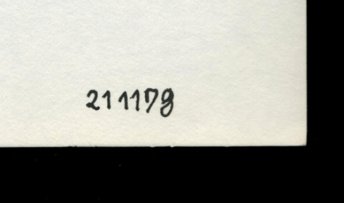 De Belgische kunstenaar Eugène Eechaut