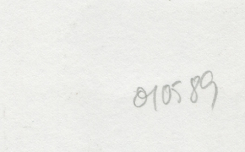 Tekening gemengde techniek,  naakte boomdame 01 05 89