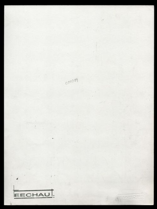 Naakte takkendame in een uitdagende pose 050289