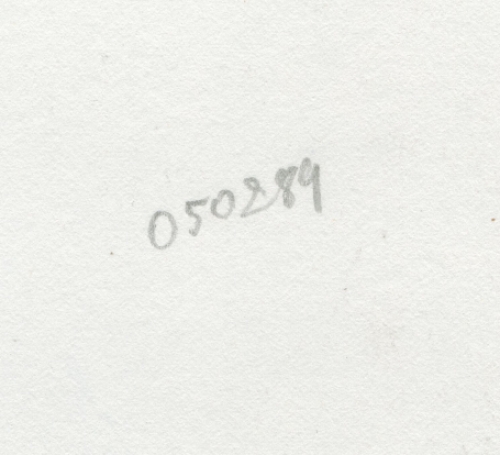 Naakte takkendame in een uitdagende pose 050289