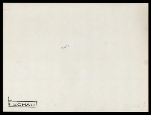 De Belgische kunstenaar Eugène Eechaut