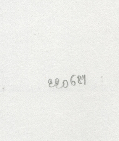 Tekening gemengde techniek, staande vrouw met arendshoofd  1989