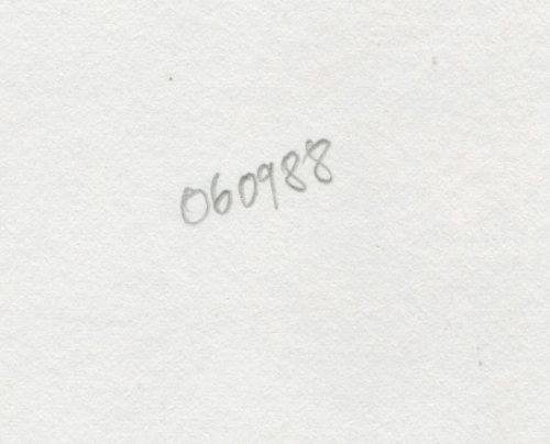 Tekening gemengde techniek,  naakte dame 06 09 88