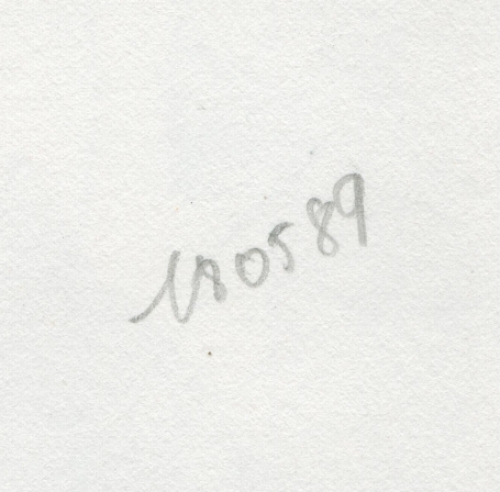 Tekening gemengde techniek,  naakte dame 18 05 89