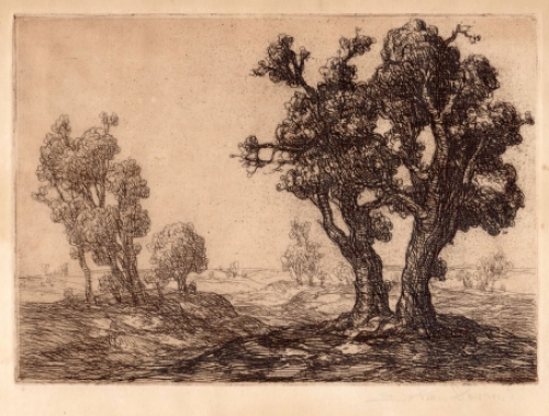 Belgische etser Edmond Van Dooren