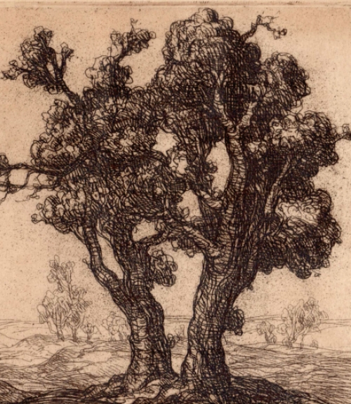 Ets van Edmond Van Dooren kopen, Belgische kunstenaar