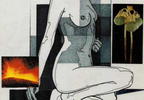 De Belgische kunstenaar Eugène Eechaut