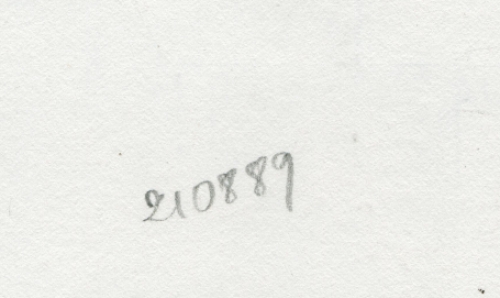 Tekening gemengde techniek naakt staand 21 08 89