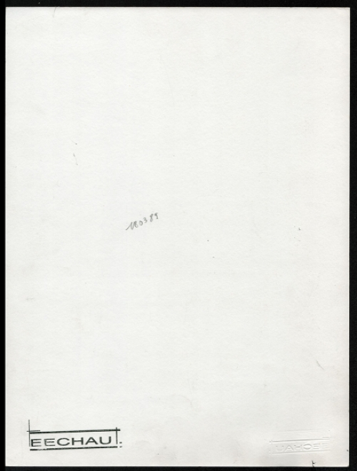 De Belgische kunstenaar Eugène Eechaut