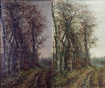 Zicht op bospad in het Zoniënwoud (+/- 1895)