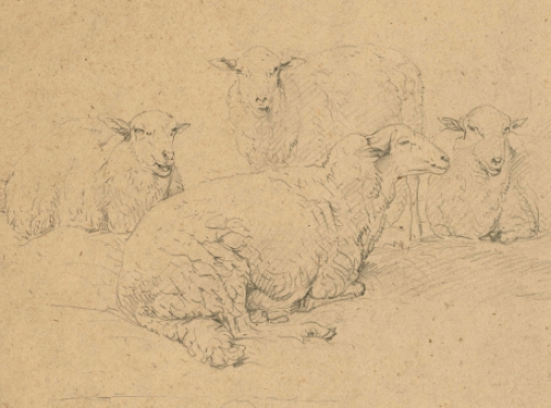 Tekeningen op papier van Eugène Verboeckhoven