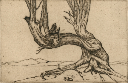 Ets van Eugeen Yoors kopen