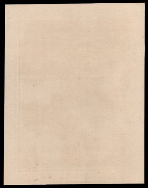 De Oosterse fluitspeler in het bos  4/100