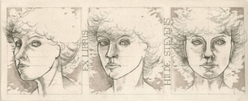 Kunstwerkje van de Belgische grafica Hilde Stevens