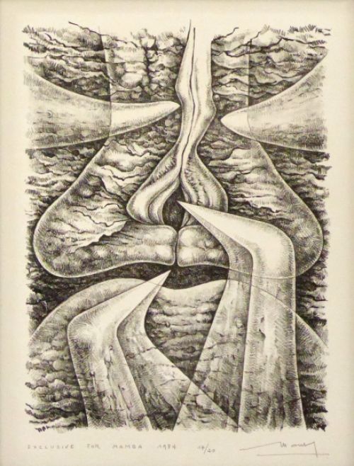 Zwart wit lithografie van Roland Monteyne kopen