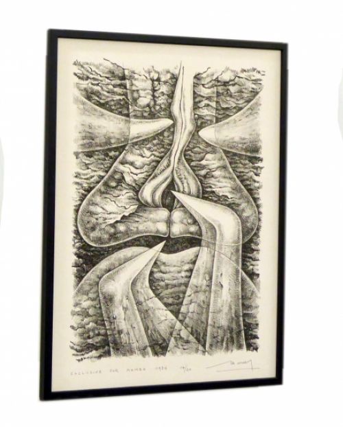 Zwart Wit Litho getiteld 