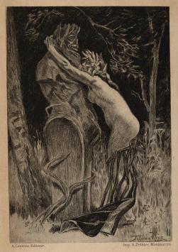 Heliogravure Curieuse exsteens 504.3
