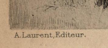 Curieuse Exsteens 504 1886