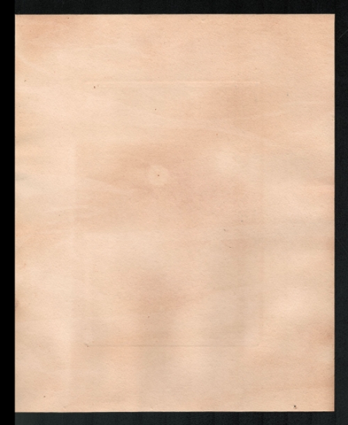 La pêche au jambon ou La Samme Exsteens 810