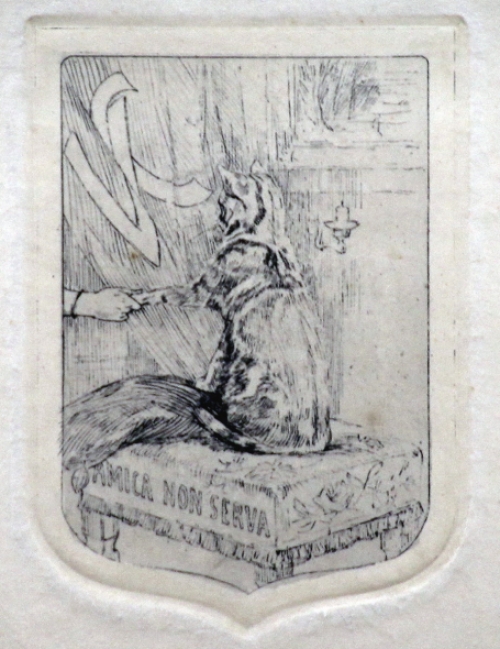 Le Chat van  Félicien Rops, droge naald ets