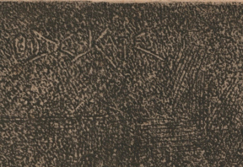 Oude Kate 1895 Exsteens 268