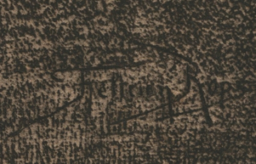 Oude Kate 1895 Exsteens 268