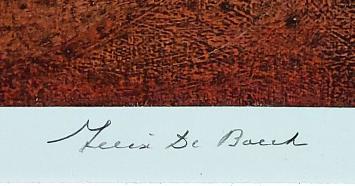 Belgische kunstenaar Felix De Boeck