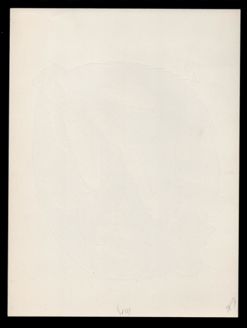 Belgische graficus Frank Van Damme