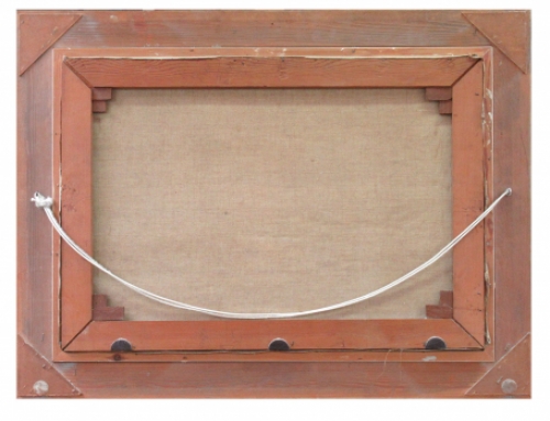 Treurwilgen aan de vijver in het park