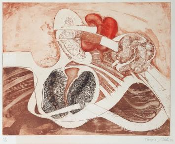 Genummerde ets van François Béalu