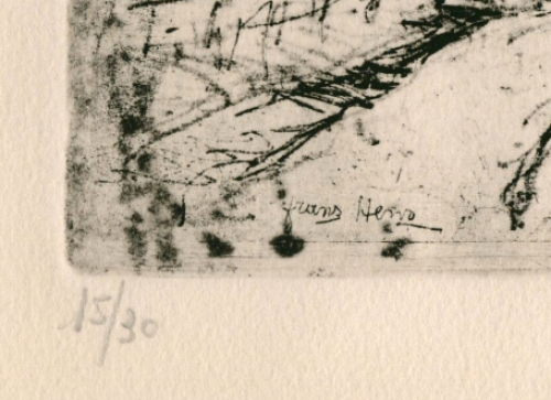 Belgische kunstenaar Frans Hens