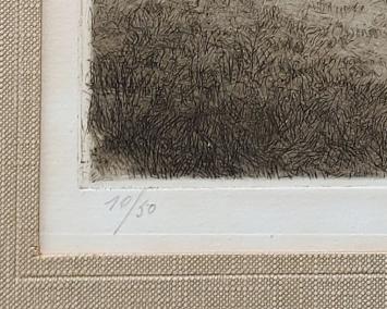 Boerinnetje aan de waterput van de hoeve 10/50