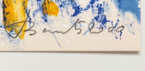 Lithografisch kunstwerk van F. Bervoets