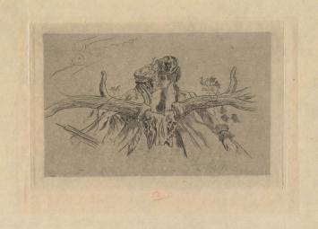 Félicien Rops met een heliogravure
