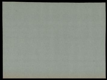 Litho, Dame met hand aan kleedje