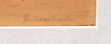 Boten en stoomboten op de Schelde