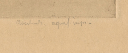 De haven van Antwerpen