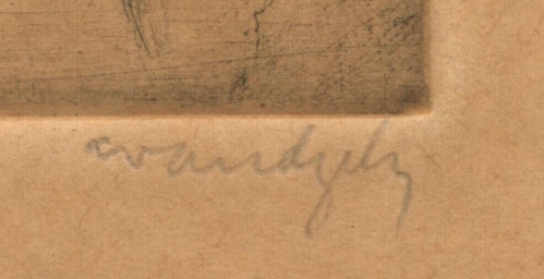 Triestig kijkende jongen