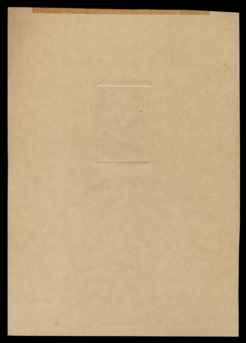 Triestig kijkende jongen