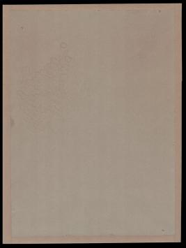 Juffrouw met haar werkschort 1917