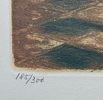 Kleurenets van A. Geudens kopen