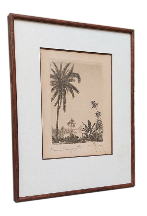 Rivier in Congo 168/500