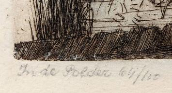 In de polder 64/100