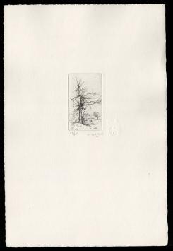 Ets van een boom geëtst door Jacques Gorus