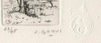 Kleine ets, éénzame boom 23/45