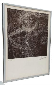 Het verborgene 342/380